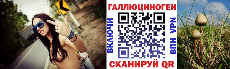 Галлюциногенные грибы Cubensis  Абинск 