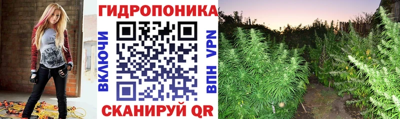 Канабис сатива даркнет сайт Абинск